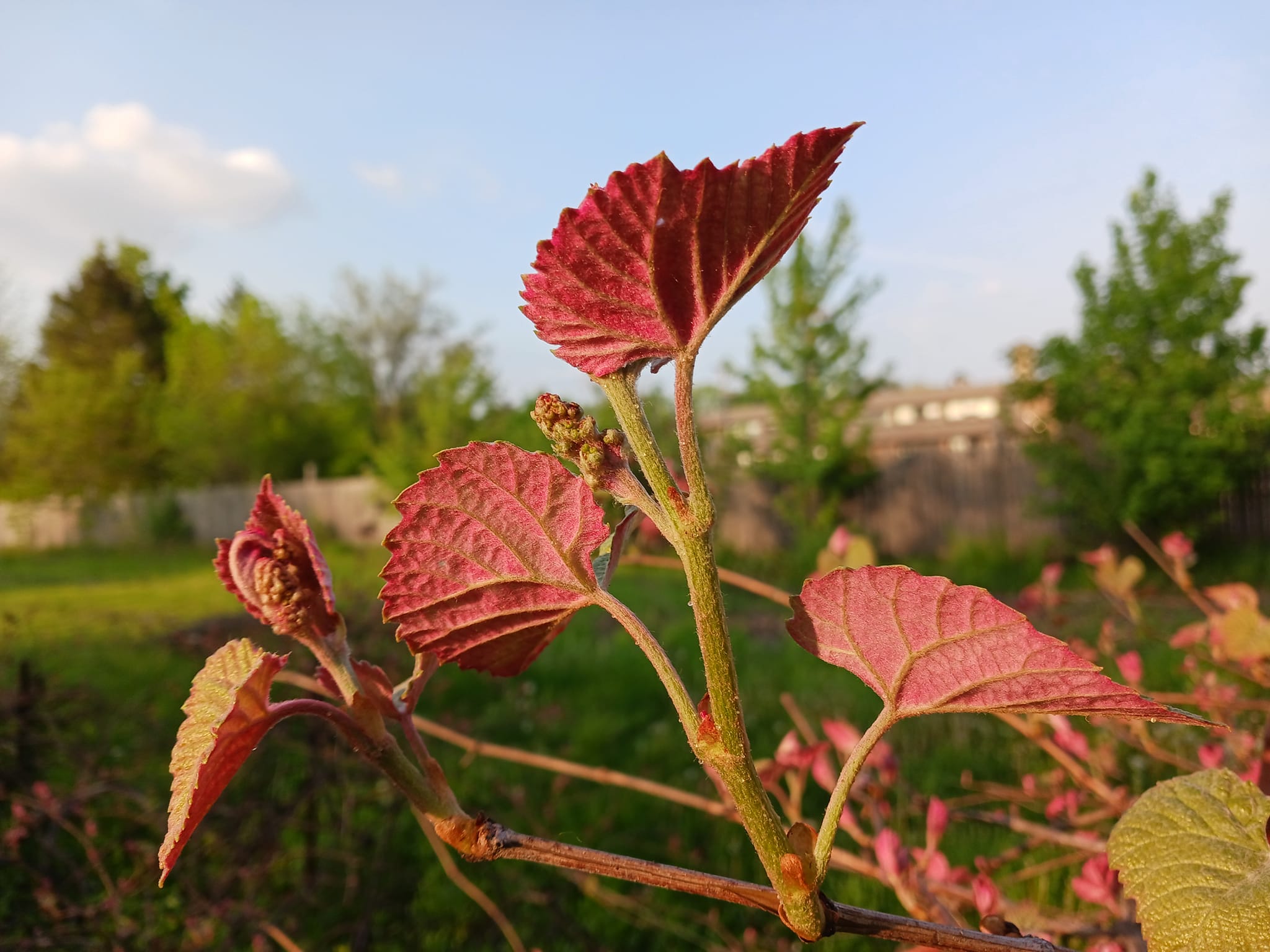 Blog Photo